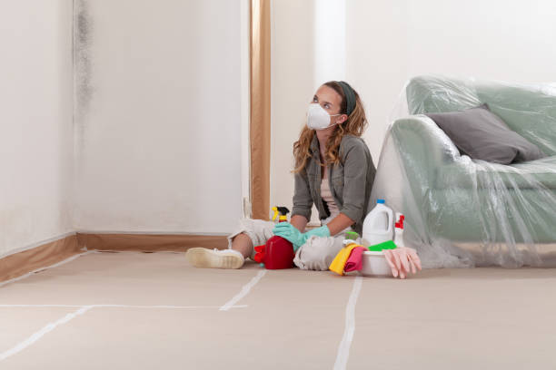 Reliable Mold Remediation contractor in Sequim, WA by Car Mold Remediation